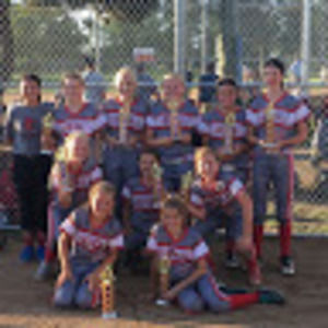 Meet your Posher, Harley